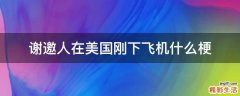 谢邀人在美国刚下飞机什么梗
