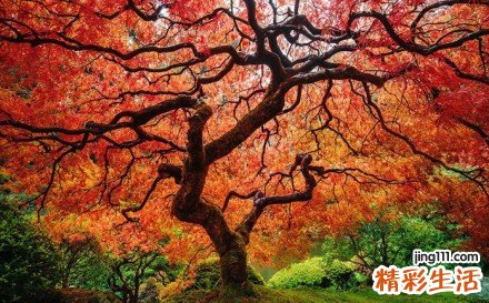 2 新生儿出现黄疸应该如何护理