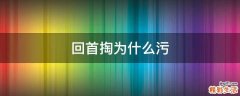 回首掏为什么污