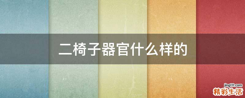 二椅子器官什么样的