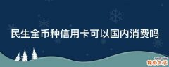 民生全币种信用卡可以国内消费吗