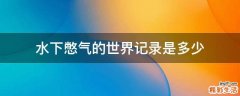 水下憋气的世界记录是多少