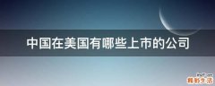 中国在美国有哪些上市的公司