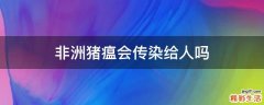 非洲猪瘟会传染给人吗