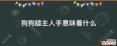 狗狗舔主人手意味着什么