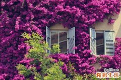 宝宝出现呛奶可要注意啦！