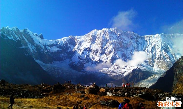 肝癌患者可以吃人参吗