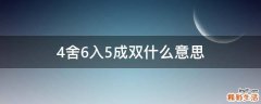 4舍6入5成双什么意思