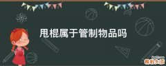甩棍属于管制物品吗