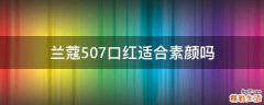 兰蔻507口红适合素颜吗