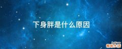 下身胖是什么原因