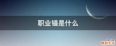 职业锚是什么