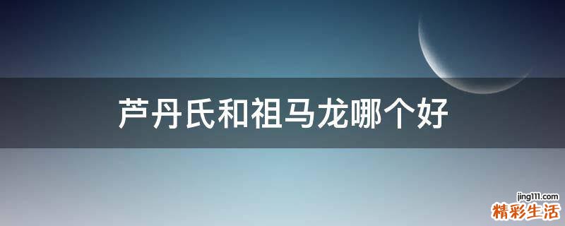 芦丹氏和祖马龙哪个好