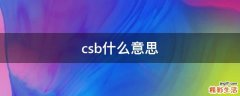 csb什么意思