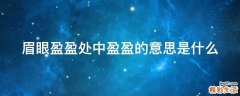 眉眼盈盈处中盈盈的意思是什么