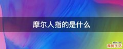 摩尔人指的是什么