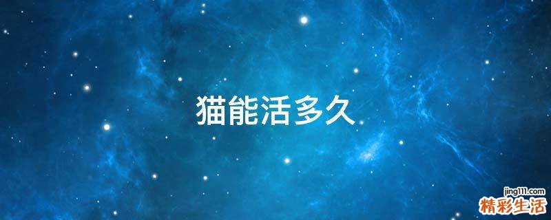猫能活多久