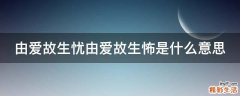 由爱故生忧由爱故生怖是什么意思