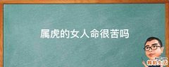 属虎的女人命很苦吗