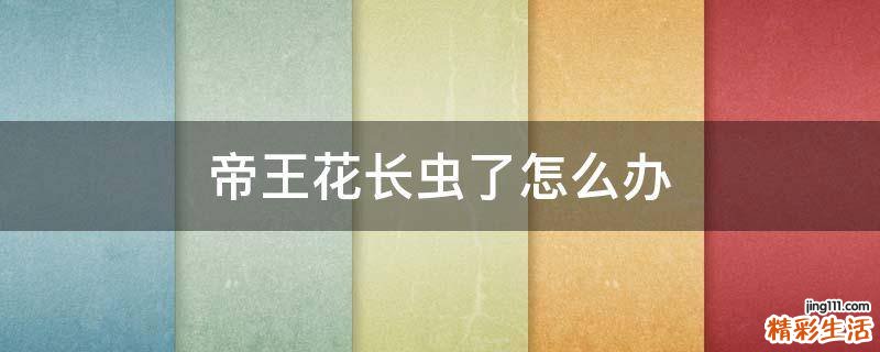 帝王花长虫了怎么办