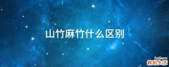 山竹麻竹什么区别