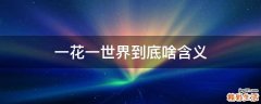 一花一世界到底啥含义