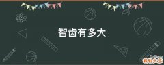 智齿有多大