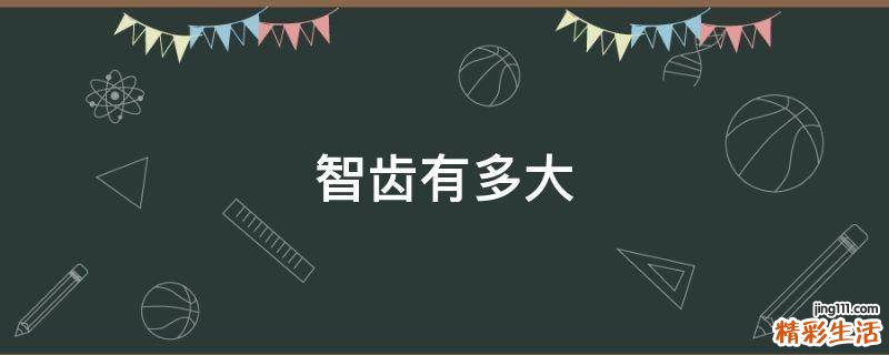 智齿有多大