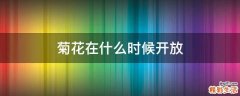 菊花在什么时候开放