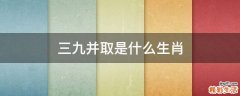 三九并取是什么生肖