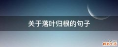 关于落叶归根的句子