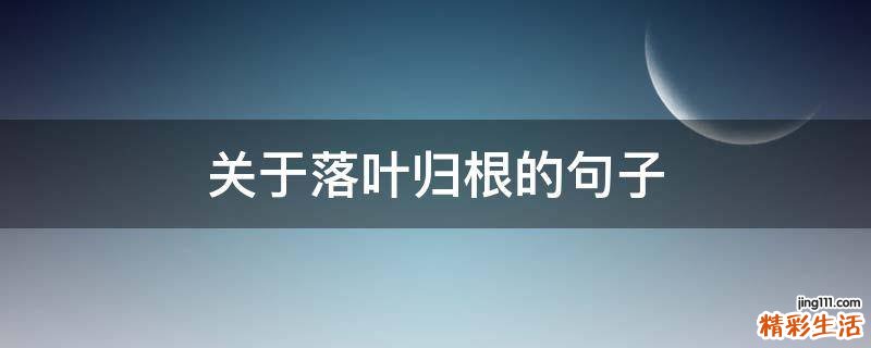 关于落叶归根的句子
