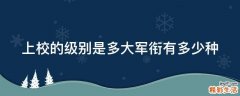 上校的级别是多大军衔有多少种