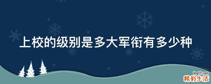 上校的级别是多大军衔有多少种