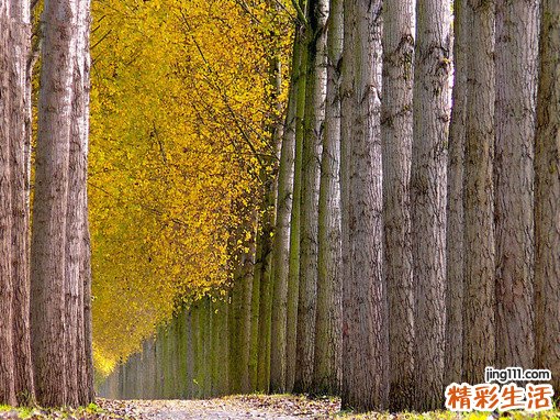 岁末多数白领年终患上“情绪病”