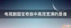 电视剧国宝奇旅中高茂宽演的是谁