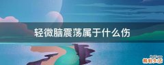 轻微脑震荡属于什么伤