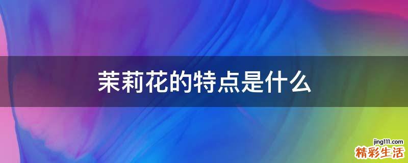 茉莉花的特点是什么