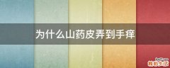 为什么山药皮弄到手痒