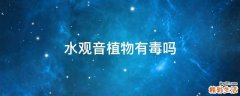 水观音植物有毒吗