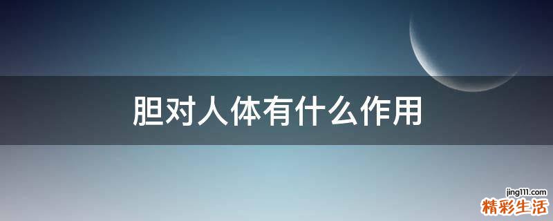胆对人体有什么作用