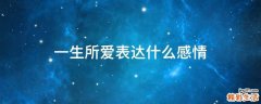 一生所爱表达什么感情