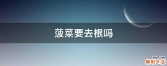菠菜要去根吗
