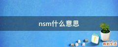 nsm什么意思
