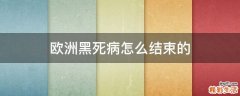 欧洲黑死病怎么结束的