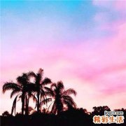 宫寒应该怎么调理