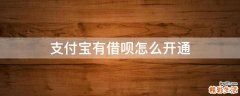 支付宝有借呗怎么开通