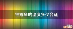 锦鲤鱼的温度多少合适