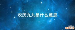 农历九九是什么意思