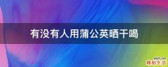 有没有人用蒲公英晒干喝
